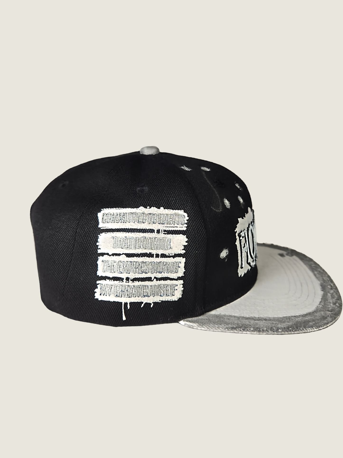 Flowatious Platinum Ice Snapback 1 of 1